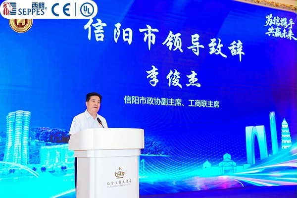 李俊杰副主席发言