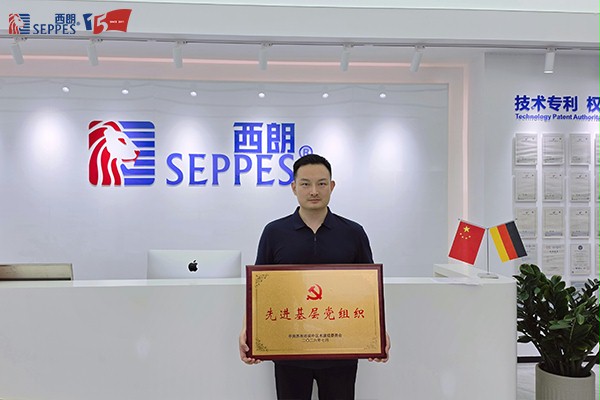 西朗门业党支部获得上级颁发的“先进基层党组织”铜牌